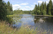 Vesterdalälven östlich von Björbo in Dalarna - Ausgangspunkt für white water Rating auf dem Fluss (Dala River Adventure). 
Aufnahme: 30. Juli 2017.