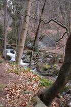 Die Ilse neben dem Heinrich-Heine-Weg von Ilsenburg nach den Brocken. 19.02.2007