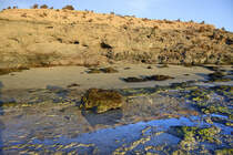 Am Strand östlich von Matas Blancas auf der Insel Fuerteventura in Spanien. Aufnahme: 21. Oktober 2017.