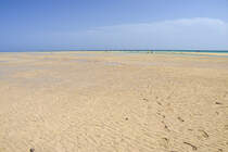 Niedrigwasser in der Sotavento-Lagune an der Insel Fuerteventura in Spanien. Aufnahme: 17. Oktober 2017.