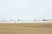 Am Strand zwischen Costa Calma und der Sotavento-Lagune auf der Insel Fuerteventura in Spanien. Aufnahme: 15. Oktober 2017.