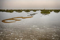In der Laguna Sotavento südlich von Costa Calma auf der Insel Fuerteventura in Spanien. Aufnahme: 15. Oktober 2017.