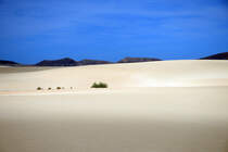 In den Wanderdünen El Falble im Parque Natural de Corralejo auf der Insel Fuerteventura in Spanien. Aufnahme: 19. Oktober 2017.