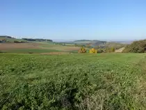 Naturraum Kocher-Jagst-Ebenen bei Dörzbach, Hohenlohekreis (15.10.2017)