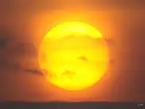 Ein schöner Sonnenuntergang in Bochum. (Juli 2008)