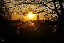 Sonnenuntergang hinter dem Nebeltal. (Linstow, April 2007)