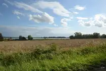 Ein Blick auf das Peenetal. (Jarmen, August 2013)