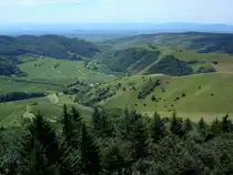 Kaiserstuhl, Blick vom Aussichtsturm auf der Eichelspitze (521m) Richtung Westen über den inneren Kaiserstuhl, dahinter die Rheinebene und die Vogesen am Horizont, Juli 2008