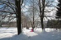 An diesem Sonntag, dem 21.01.2018 sind zahlreiche Menschen unterschiedlichen Alters unterwegs in der Wintermärchenlandschaft; Allee längs der Rathaus-Skiwiese in Braunlage...
