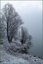 Winter am Bodensee -

Überlingen, 08.02.2018 (M)