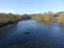 Fluss Regen bei Miltach im Bayerischen Wald, Lkr. Cham (04.11.2017)
