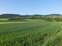 Wiesen im Ohrntal bei Oberohrn (29.04.2018)