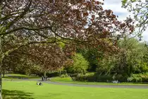Der Phoenix Park   ist eine große Parkanlage 3 km nordwestlich des Stadtzentrums von Dublin. Mit einer Fläche von 808 ha (8,08 km²) und einer umschließenden Mauer von 11 km Länge ist der Park eine der größten innerstädtischen Parkanlagen der Welt. Er wird oft als größte innerstädtische Parkanlage in Europa bezeichnet, allerdings ist der Sutton Park nahe Birmingham (England) und der Richmond Park in London (England) größer.
Aufnahme: 11. Mai 2018.