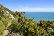 Auf dem Cliff Walk von Howth östlich von Dublin. Den Cliffwalk sollte man bei sehr starkem Wind meiden, an einigen Stellen führt der Pfad doch sehr nach an den Klippen entlang.
Aufnahme: 12. Mai 2018.