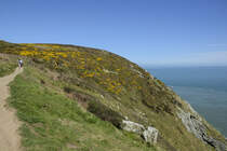 Howth Cliff Walk - Die steile Küste und die Aussicht vom Cliffwalk über das Meer sind fantastisch.
Aufnahme: 12. Mai 2018.