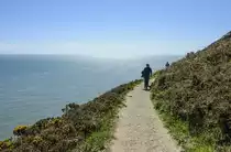 Howth Cliff Walk zwischen Piper's Gut und Fox Hole - Irland. Aufnahme: 12. Mai 2018.