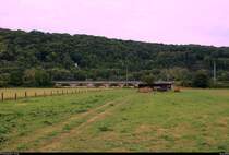 Impression zwischen Großheringen (Kreis Weimarer Land) und Kleinheringen (Burgenlandkreis) an der L 203. [16.6.2018 | 18:49 Uhr]