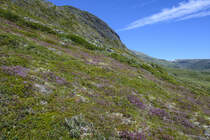 Landschaft am Wanderwerg zum Berg Røyrgrindin Norwegen. Aufnahme: 16. Juli 2018.