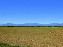 Blick von Weckolsheim im Oberelsaß über die Rheinebene zu den Vogesen, Mai 2018