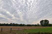 Schäfchenwolken ziehen von Westen her übers Land (Diepholz, 30.09.18).