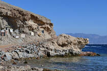 Das Küstensaumriff nördlich von Dahab am Tauchplatz  Blue Hole . (Ägypten, Dezember 2018)