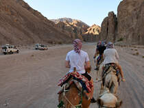 Unterwegs auf dem Kamel durch einen Canyon. (Sinai-Halbinsel, Dezember 2018)