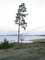 Landschaft vom ehem. Tagebau in der N�he von Boxberg