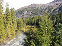 Gebirgs-Landschaft bei Pontresina am 10. Oktober 2019.