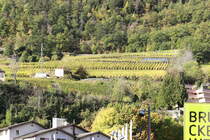 Weinhang am Rand von Visp nahe dem Zentrum am 16. Oktober 2019.