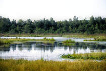 Der Slowinzische Nationalpark (polnisch Słowiński Park Narodowy) liegt in Hinterpommern an der Ostseeküste. Der Name des Parks bezieht sich auf das Volk der Slowinzen, die ursprünglich am Rande des Lebasees lebten. Aufnahme: 18. August 2020.