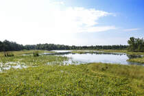 Der 1967 gegründete Słowiński Park Narodowy (Slowinzischer Nationalpark) ist eines von zwei Großschutzgebieten der im Norden des Landes gelegenen Woiwodschaft Pomorskie (Pommern). Mit einer Gesamtfläche von 327 Quadratkilometern ist er der drittgrößte polnische Nationalpark. Aufnahme: 18. August 2020.