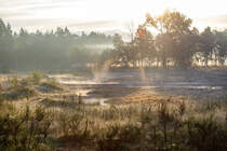 2.9.2020 - Sonnenaufgang und Morgendunst über kleinen Tümpeln in Hohemoor / Friedeburg/Marx