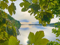Am Ostufer der Sankelmarker See im Kreis Schleswig-Flensburg. Aufnahme: 20. September 2020.