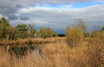 Pietzmoor bei Schneeverdingen im Wechsel von Sonnenschein und Wolken am 04.10.2020. 