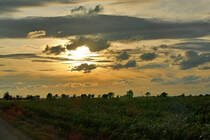Abendstimmung in der Voreifel bei Euskirchen - 27.06.2020