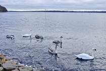 Blick auf Flensburger Förde vom Dammweg bei Wassersleben (Gemeinde Harrislee). Aufnahme: 4. Januar 2021.