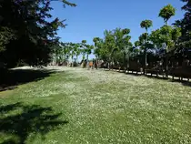 Im Burggarten von Friedberg, Wetteraukreis (29.05.2021)