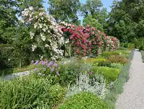 Im Rosengarten von Schloss Korselitse, Lolland (18.07.2021)