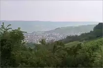 Über dem Remstal -

Blick nach Weinstadt-Beutelsbach und hinter dem nächsten Bergrücken auch nach Remshalden-Grunbach.

24.07.2021 (M)
