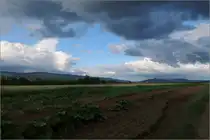 Wolkenbilder des Tiefs 'Bernd' -

Helle und dunkle Wolken und auch blauer Himmel über der Remstalbucht, gesehen vom Ortsrand von Rommelshausen aus.

14.07.2021 (M)