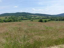 Wiesen und Hügel im Karpatenvorland bei Rzeszow (17.06.2021)