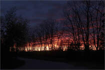 Abendhimmel hinter Bäumen -

Kernen-Rommelshausen, 13.05-21 (M)