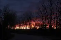 Abendhimmel hinter Bäumen -

Kernen-Rommelshausen, 13.05-21 (M)