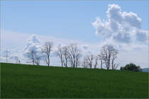 Bäume (und Hochspannungsmasten) vor Wolkenhimmel -

Landschaft zwischen Waiblingen Korber Höhe und Waiblingen Beinstein.
 
13.05.2021 (M) 