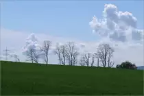 Bäume (und Hochspannungsmasten) vor Wolkenhimmel -

Landschaft zwischen Waiblingen Korber Höhe und Waiblingen Beinstein.
 
13.05.2021 (M) 