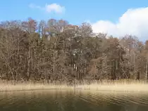 Scharmützelsee am 05. März 2022, hier hinter dem  Uferrand sind auch Häuser zu erkennen.


