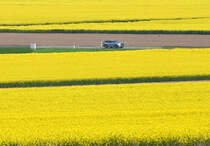 Rapsfelder mit PkW bei Euskirchen - 23.04.2022