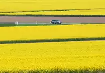 Rapsfelder mit PkW bei Euskirchen - 23.04.2022