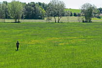 Ein einsamer Fotograf gesehen bei der Fahrt mit dem Öchsle am 15. Mai 2022 bei Warthausen.