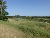 Fischteiche bei Roselle, Provinz Grosseto (22.05.2022)